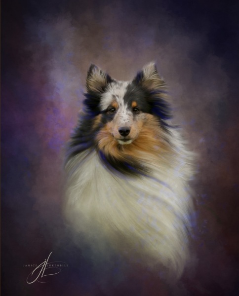 Charlie_Paint-Edit
