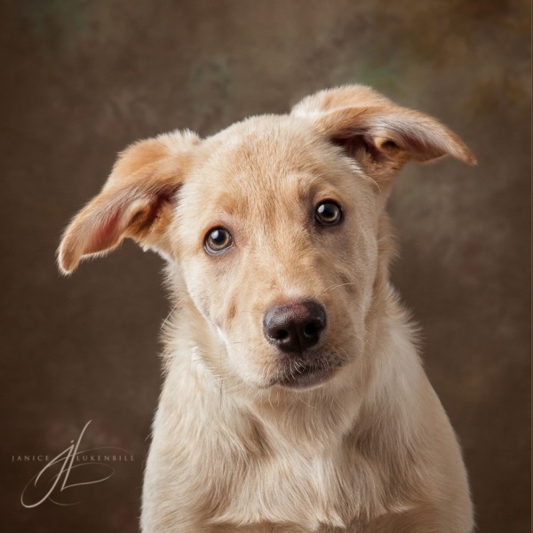 IMG_8978_matted-Edit-Edit-Edit-2-Edit-Edit-3
