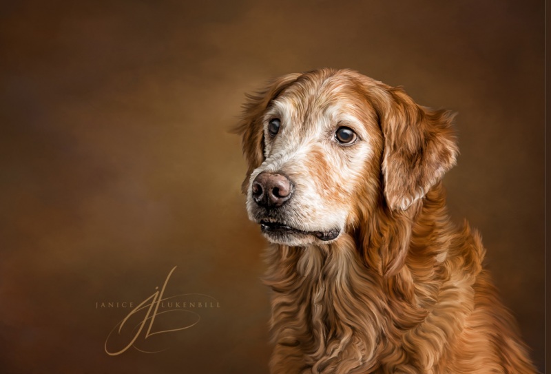 In_His_Golden_Years_Janice_Lukenbill_2